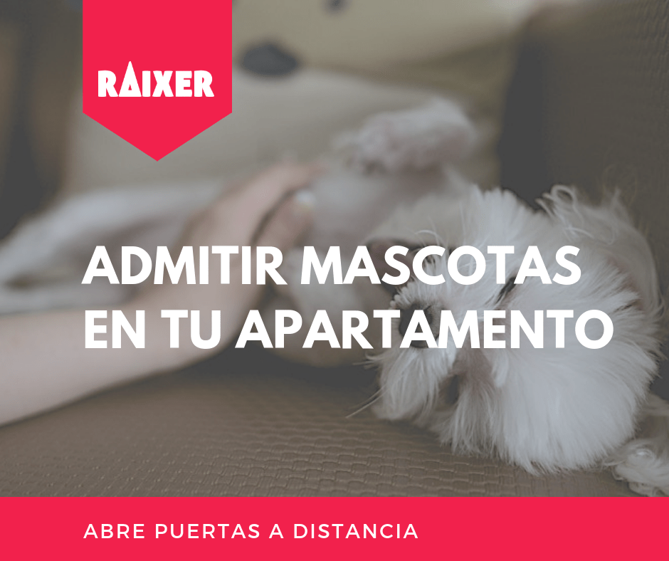 Admitir animais de estimação no seu apartamento: vantagens e desvantagens